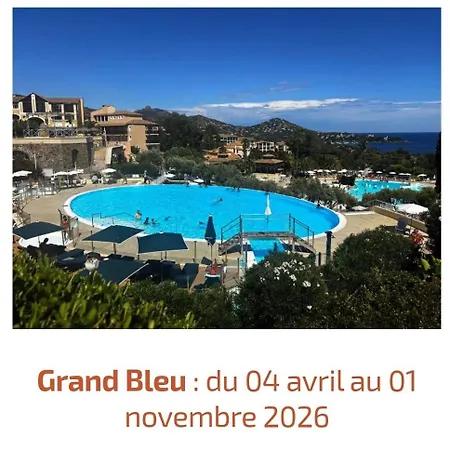 Bord De Et Piscine